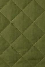 Stepper Teddy & Green