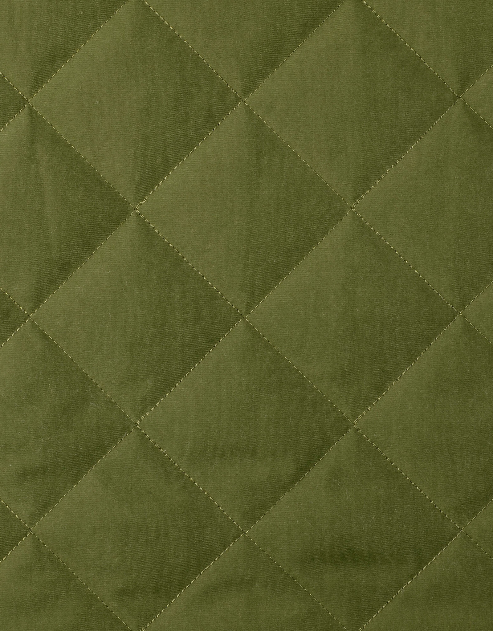 Stepper Teddy & Green