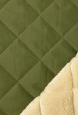 Stepper Teddy & Green