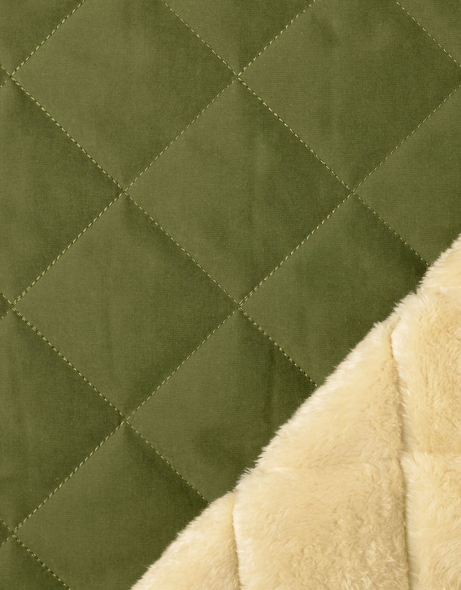 Stepper Teddy & Green