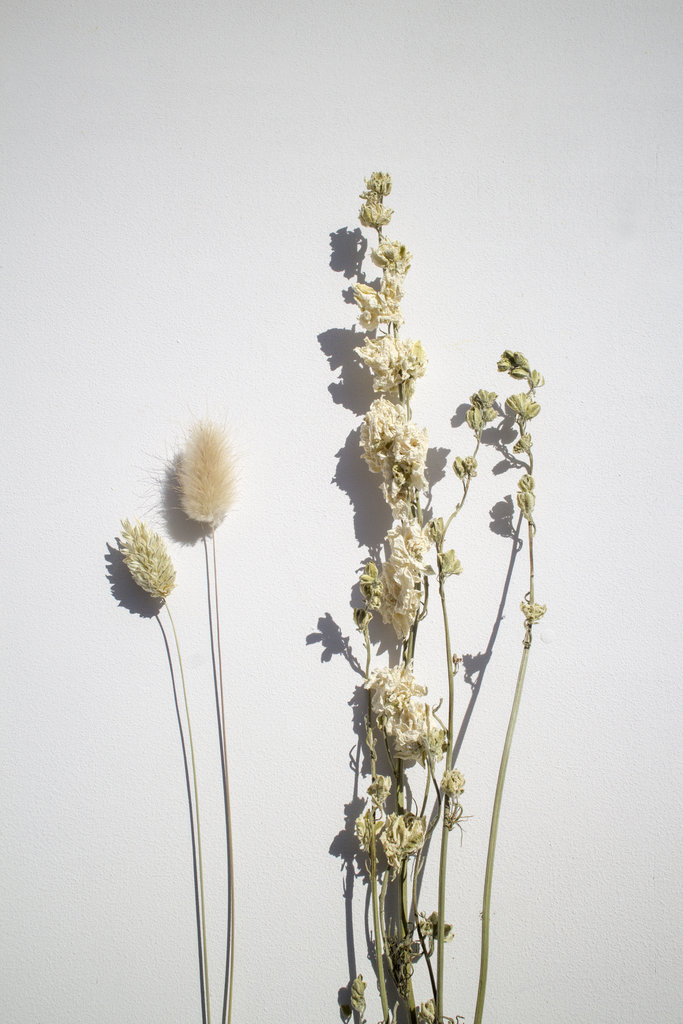 Bloemen krans Ø 20 cm met droogbloemen