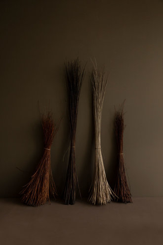 Willow branches