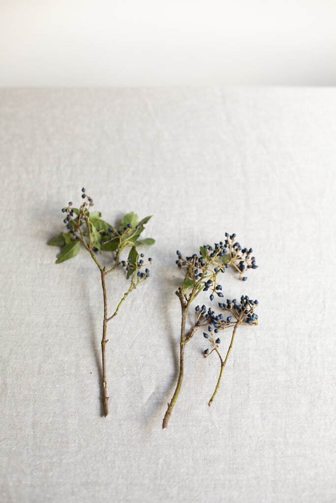 Winter workshop - Winterweeks Hoorneboeg