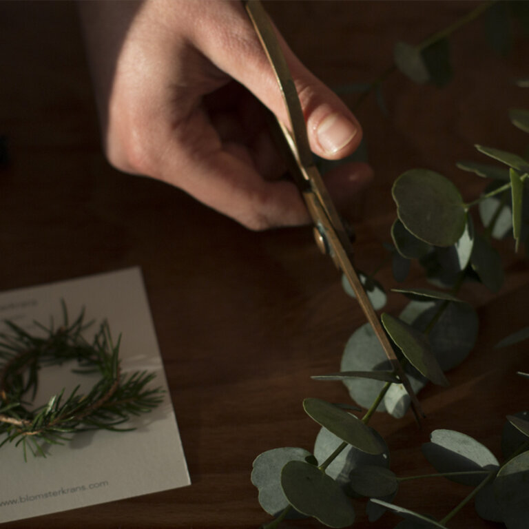 Material for the Winter wreath