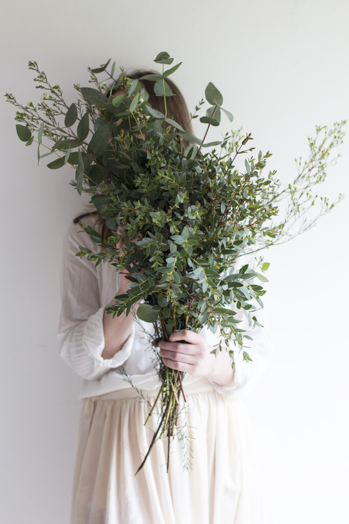 Material for the Winter wreath