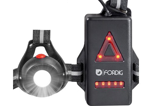 ForDig Veiligheidsvest met Verlichting - Reflecterend Hardloopvest met LED Lampjes & USB Oplaadbaar - Verstelbaar Hardloophesje Geschikt voor Wandelen / Joggen / Hardlopen / Fietsen / Schaatsen - One Size Fits All 