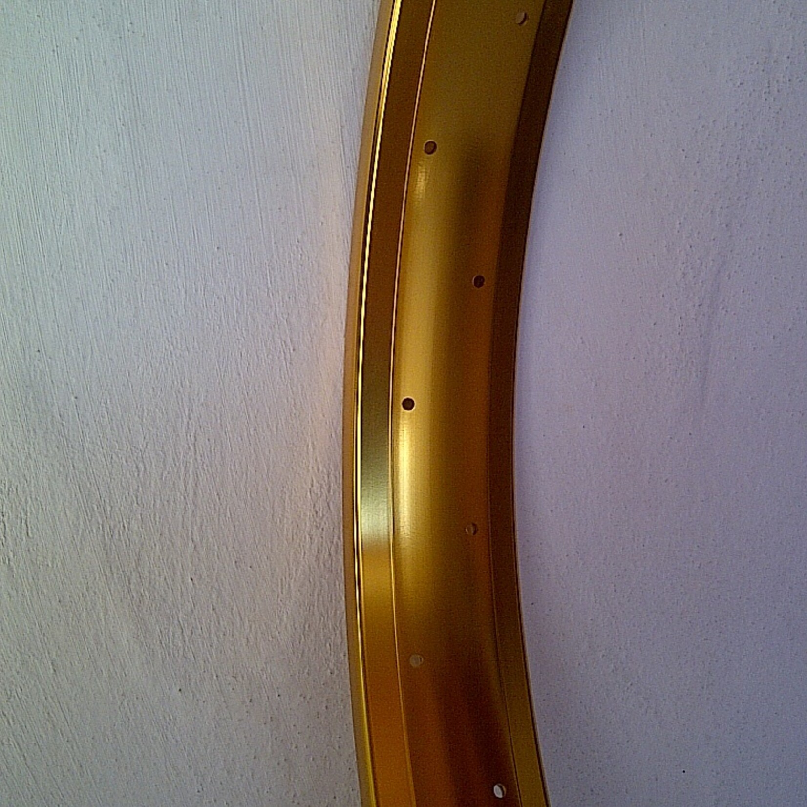 alloy rim DW65, 28", golden anodized