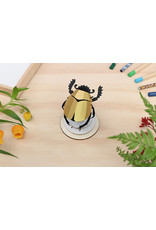 Assembli Papieren 3D Insecten - Scarab Kever -