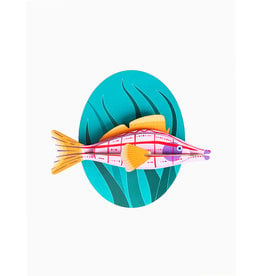 Studio Roof Big Fishes - Longnose Hawkfish | Langneus Havikvis