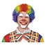 Boland Pruik Clown krul - Multi color