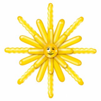 Balloon Kit "Zon"