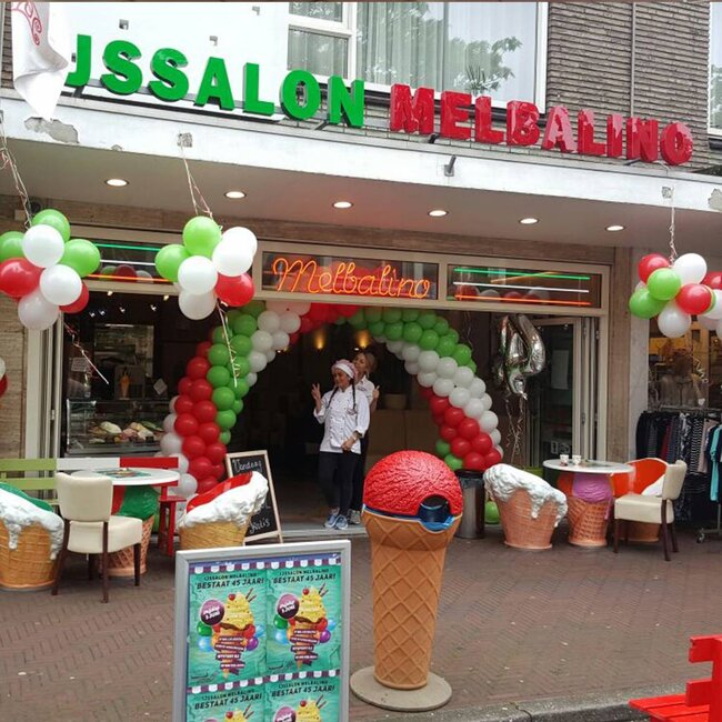 Ballonnenboog in 3 kleuren