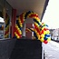 Ballonnenboog in 3 kleuren