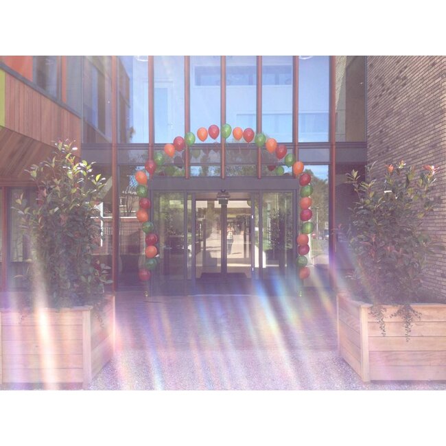 Heliumlijn van 11inch ballonnen