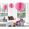 Honeycomb Licht Roze - 30cm