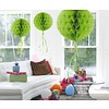 Honeycomb Lime Groen - 30cm