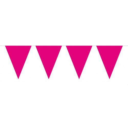 Vlaggenlijn Mini Hot Pink - 3 meter 