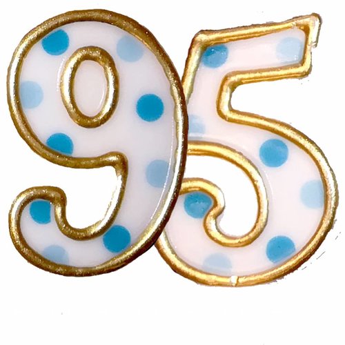 95 jaar