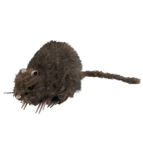 Decoratie Rat - 15x8cm 