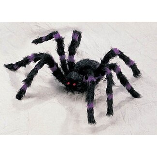 Haza-Witbaard Spin met rode ogen - 15x65cm