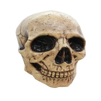 Ghoulish Latex Masker - Skull Donker