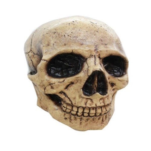 Latex Masker - Skull Donker 