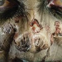 thumb-Zombie FX Transfers - Zombie Nose-1