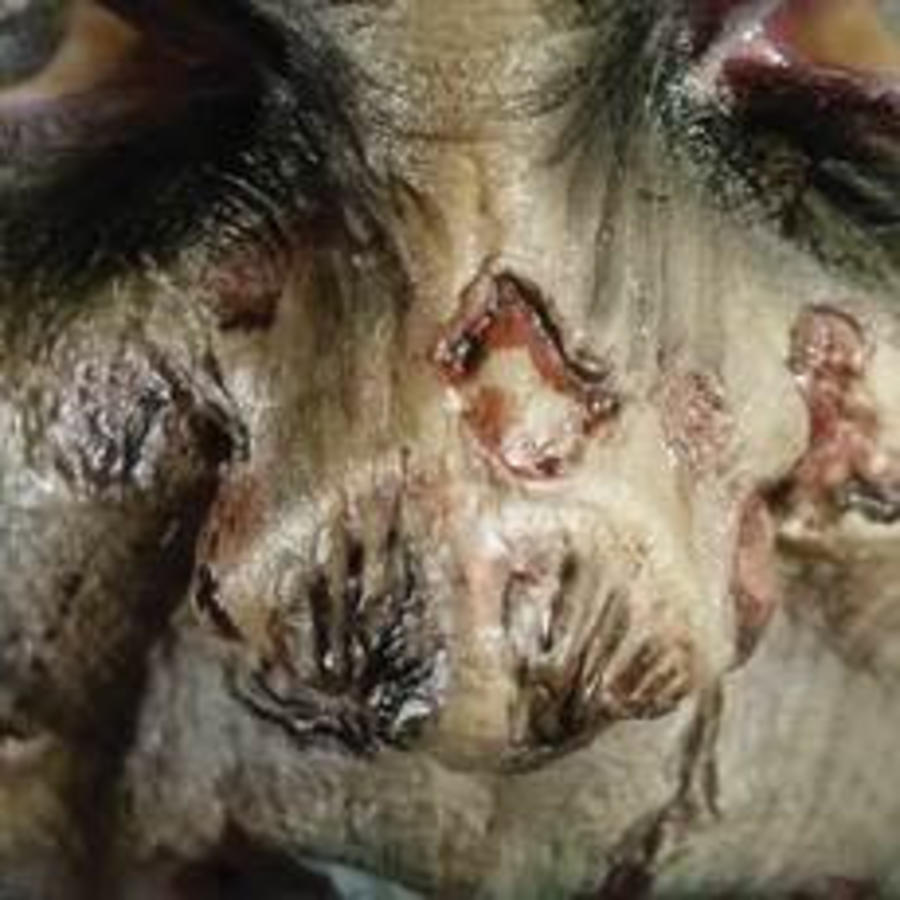 Zombie FX Transfers - Zombie Nose-1