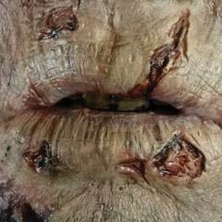 Make-up FX Zombie FX Transfers - Zombie Lips