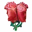 Anagram Folieballon 3D Red Roses - 68x76cm