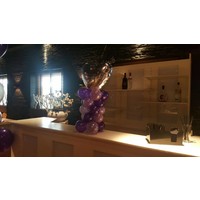 thumb-Tafel Pilaartje met folieballon-12