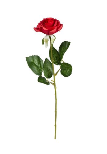 Valentijns roos - 43 cm 