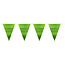 Folat Vlaggenlijn Metallic Mat Lime Groen - 6 mtr
