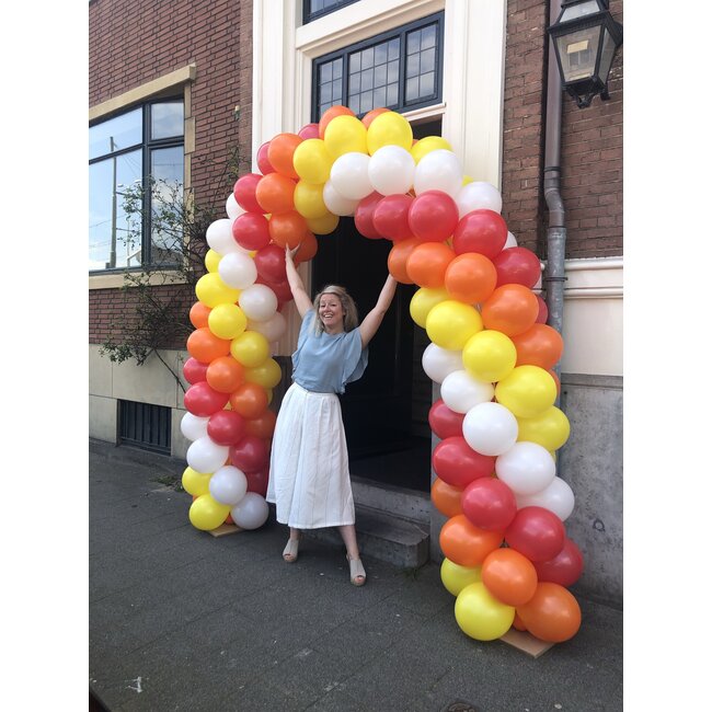 Ballonnenboog in 4 kleuren