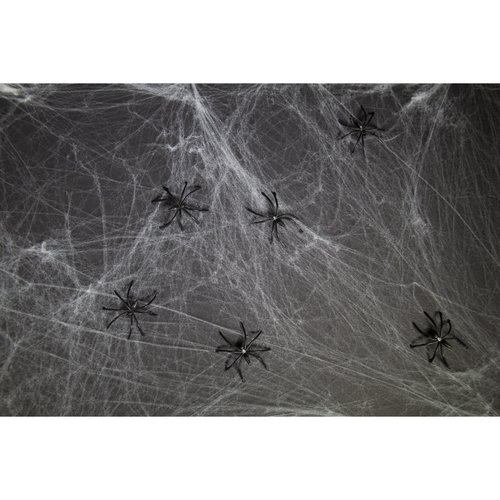Spinrag Wit - 500g - met 25 spinnen 