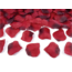 PartyDeco Rozenblaadjes Rood - 100 stuks