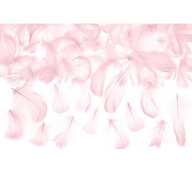 Decoratieve veren - lichtroze - 3g