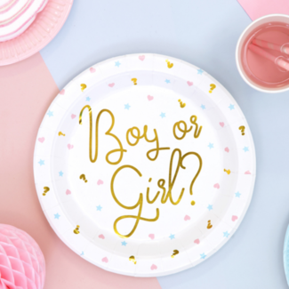PartyDeco Bordjes Boy or Girl