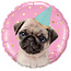 Qualatex Folieballon Party Pug