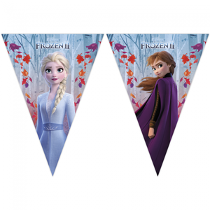 Disney Frozen Vlaggenlijn