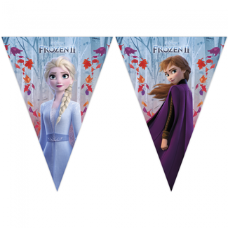 Disney Frozen 2 vlaggenlijn - 2 meter