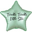 Folatex Folieballon Ster Mint Groen - 43cm