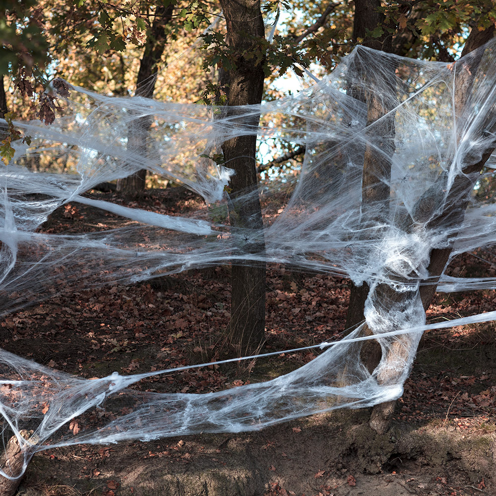 eindeloos Dinkarville Verdragen Spinrag Wit - 500g - met 25 spinnen - Halloween Decoratie - Zorg voor Party  online feestartikelen en ballondecoraties