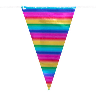 Regenboog Vlaggenlijn - 10 mtr