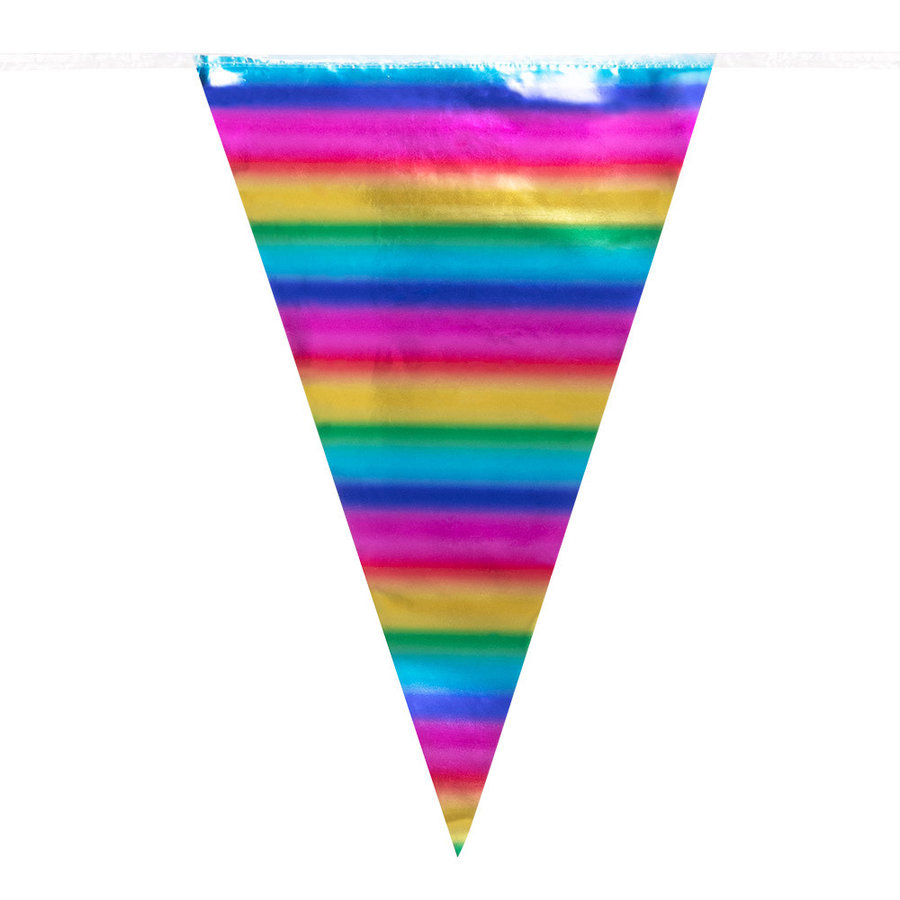 Regenboog Vlaggenlijn XL-2