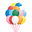 Sempertex Tros van 25 Helium Ballonnen - Mat - Zelf Samenstellen