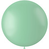 Folatex Ballon Powder Pistache Mat - 80cm - 1 stuk