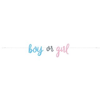 Haza-Witbaard Letterslinger Gender Reveal - 213cm