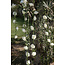 Roses garland White - ø 50 mm - 120 cm