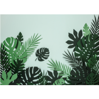 thumb-Decoraties Aloha - Tropische bladeren mix-3